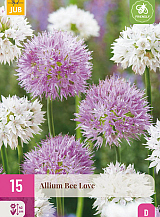 X 15 ALLIUM BEE LOVE