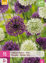 X 15 ALLIUM PAARS - WIT