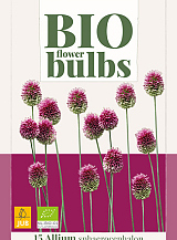 X 15 ALLIUM SPHAEROCEPHALON - BIO