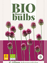 X 15 ALLIUM SPHAEROCEPHALON - BIO