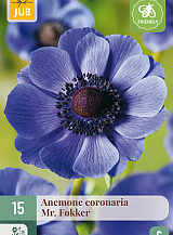 X 15 ANEMONE CORONARIA MR. FOKKER VJ