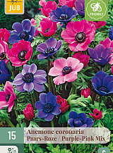 X 15 ANEMONE CORONARIA PAARS-ROZE MIX