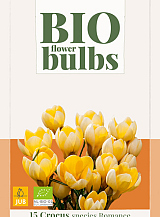 X 15 CROCUS SPECIES ROMANCE - BIO