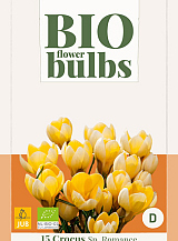 X 15 CROCUS SP. ROMANCE - BIO
