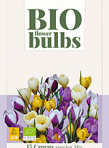 X 15 CROCUS SPECIES MIX - BIO