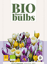 X 15 CROCUS SPECIES MIX - BIO