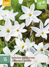 X 15 IPHEION UN. ALBERTO CASTILLO