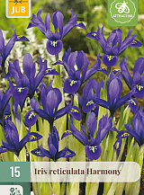 X 15 IRIS HARMONY