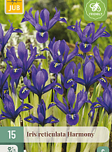X 15 IRIS HARMONY