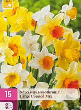 X 15 NARCISSUS GROOTKRONIG MIX