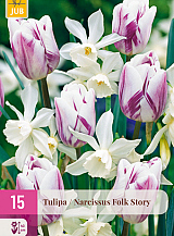 X 15 TULIPA / NARCISSUS FOLK STORY