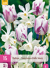 X 15 TULIPA / NARCISSUS FOLK STORY