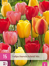 X 15 TULIPA DARWIN HYBRIDE MIX