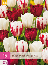 X 15 TULIPA DUTCH DESIGN MIX