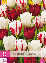 X 15 TULIPA DUTCH DESIGN MIX