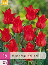 X 15 TULIPA GREIGII ROOD