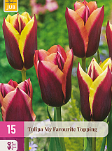 X 15 TULIPA MY FAVOURITE TOPPING