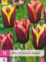 X 15 TULIPA MY FAVOURITE TOPPING