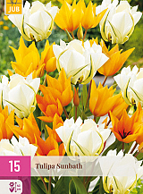 X 15 TULIPA SUNBATH