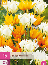 X 15 TULIPA SUNBATH