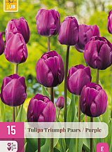 X 15 TULIPA TRIUMPH PAARS