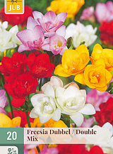 X 20 FREESIA DUBBEL MIX NJ