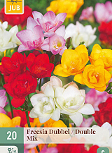 X 20 FREESIA DUBBEL MIX NJ