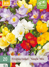 X 20 FREESIA ENKEL MIX NJ
