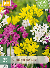 X 25 ALLIUM SPECIES MIX