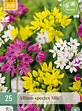 X 25 ALLIUM SPECIES MIX