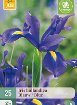 X 25 IRIS HOLLANDICA BLAUW NJ