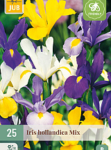 X 25 IRIS HOLLANDICA MIX NJ