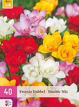 X 40 FREESIA DUBBEL MIX