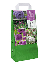 X 80 BULB GARDEN ALLIUM