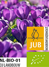 X 100 BIO CROCUS FLOWER RECORD