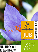 X 100 BIO CROCUS SP. SATIVUS