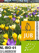 X 100 BIO CROCUS SPECIES MIX
