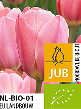 X 100 BIO TULIPA DESIGN IMPRESSION