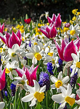 X 100 PALETTE OF SPRING