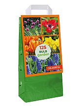 X 1 TAS 125 BULB GARDEN COLOURFUL