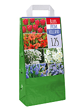 X 125 BULBS FROM HOLLAND