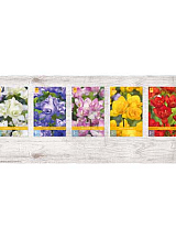 X  1000 FREESIA DUBBEL NJ