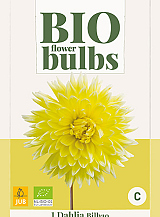 X 1 BIO DAHLIA BILBAO