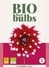 X 1 BIO DAHLIA DUET