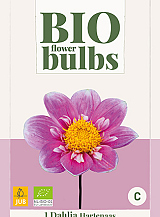 X 1 BIO DAHLIA HARTENAAS