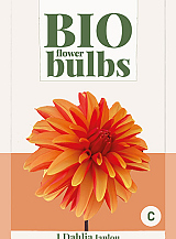 X 1 BIO DAHLIA JAPLOU