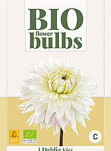 X 1 BIO DAHLIA KIEV