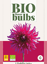 X 1 BIO DAHLIA ORFEO