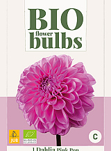 X 1 BIO DAHLIA PINK POP