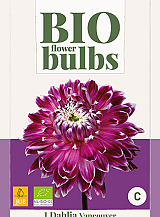X 1 BIO DAHLIA VANCOUVER